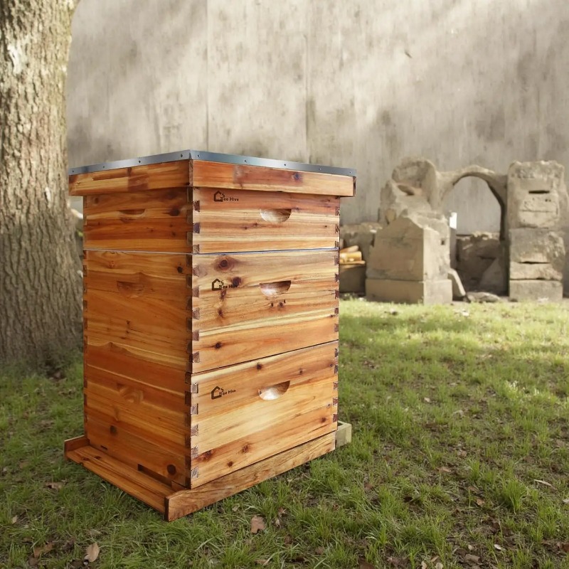 Beehive Frame Wax - Kit complet de ruche à 10