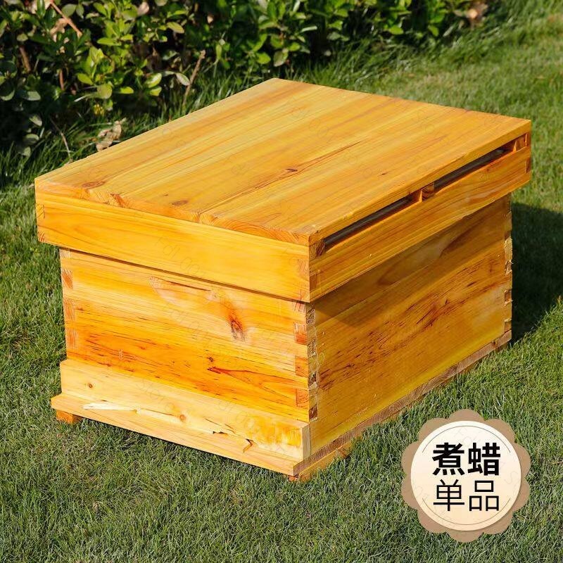 Beehive Frame Wax - Kit complet pour apiculture avec 10