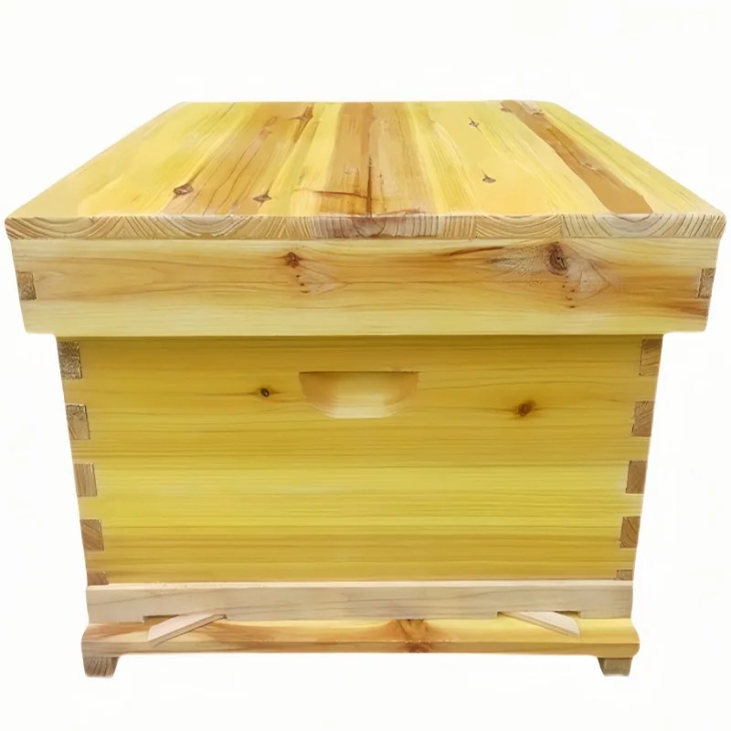 Beehive Frame Wax - Colonne d'abeilles dans une boîte à