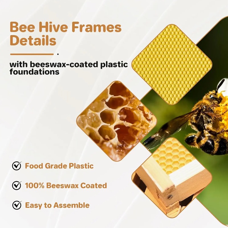 Kit complet de ruche à 10 cadr - Beehive Frame Wax avis et prix