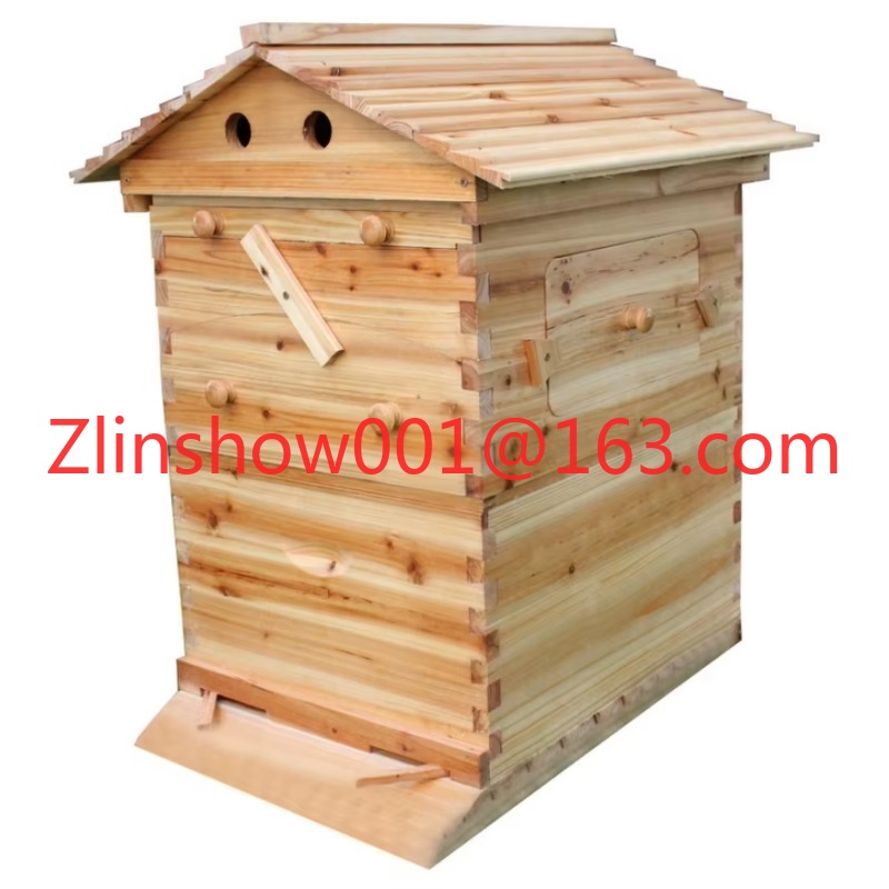 Alive automatique et 7 cadres  - Beehive Frame Wax avis et prix