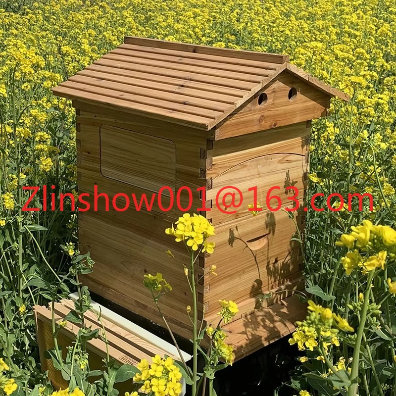 Alive automatique et 7 cadres  - Beehive Frame Wax avis et prix