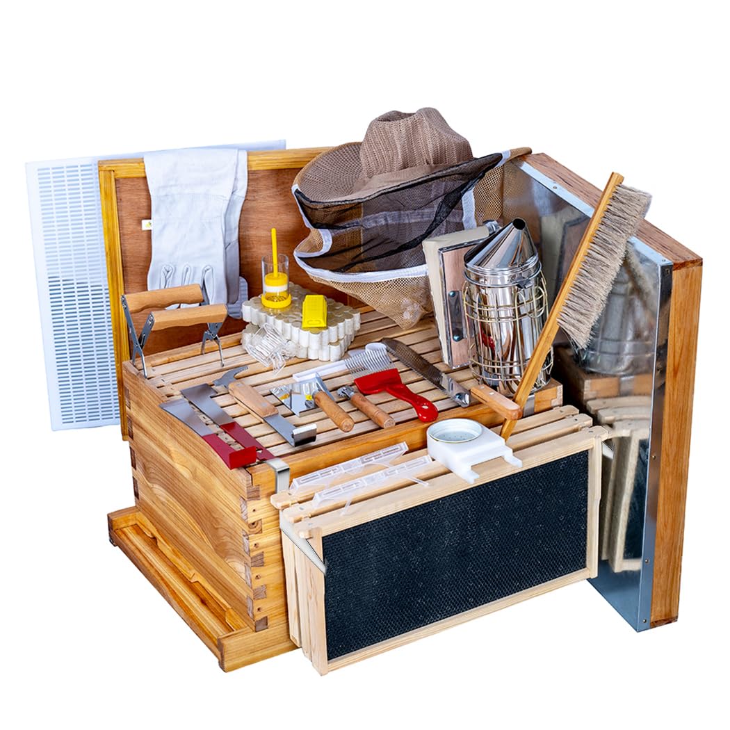 Kit de ruches 8 cadres avec ca - Beehive Frame Wax avis et prix