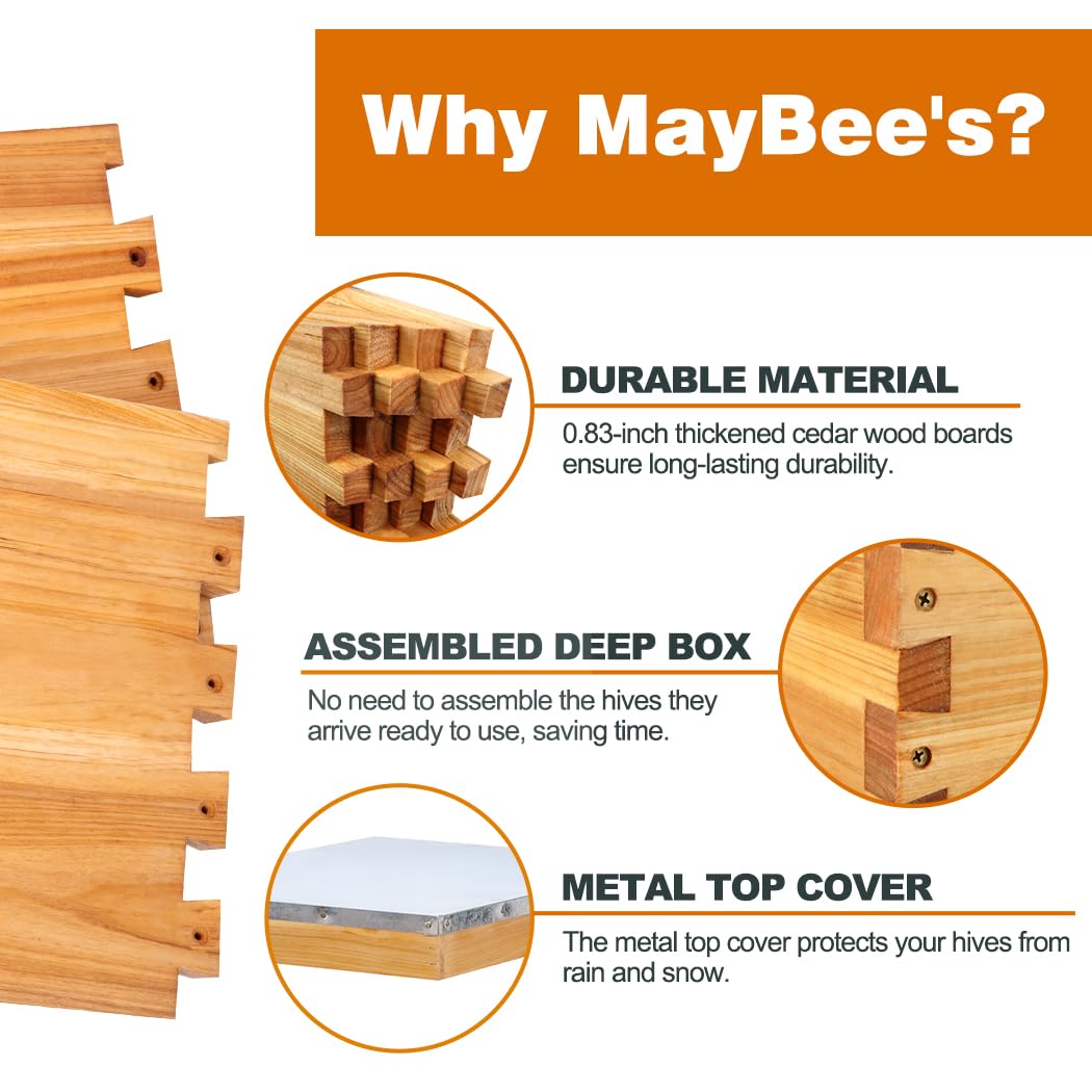 Kit de ruches 8 cadres avec ca - Beehive Frame Wax avis et prix