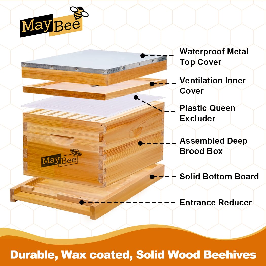 Kit de ruches 8 cadres avec ca - Beehive Frame Wax avis et prix