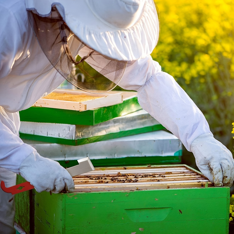 Grattoir pour cadres de ruche, - Beehive Frame Wax avis et prix
